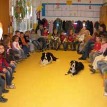 hund-und-schule-11