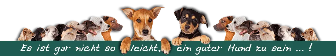 Hundeschule - Hundetraining - In der Nähe: Hartheim - Freiburg, Breisach, Bad Krozingen - Müllheim