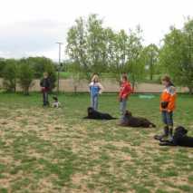 Kinder und Hunde