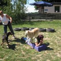 hundetraining-37