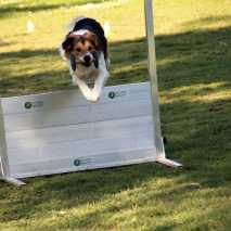 obedience_seminar04