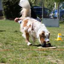 obedience_seminar07