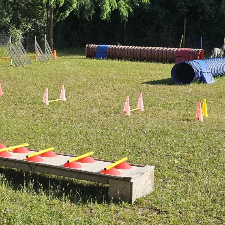 Viel Platz für Hundetraining